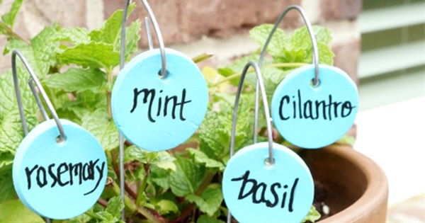 15 Cute and Easy DIY Garden Markers Ideas